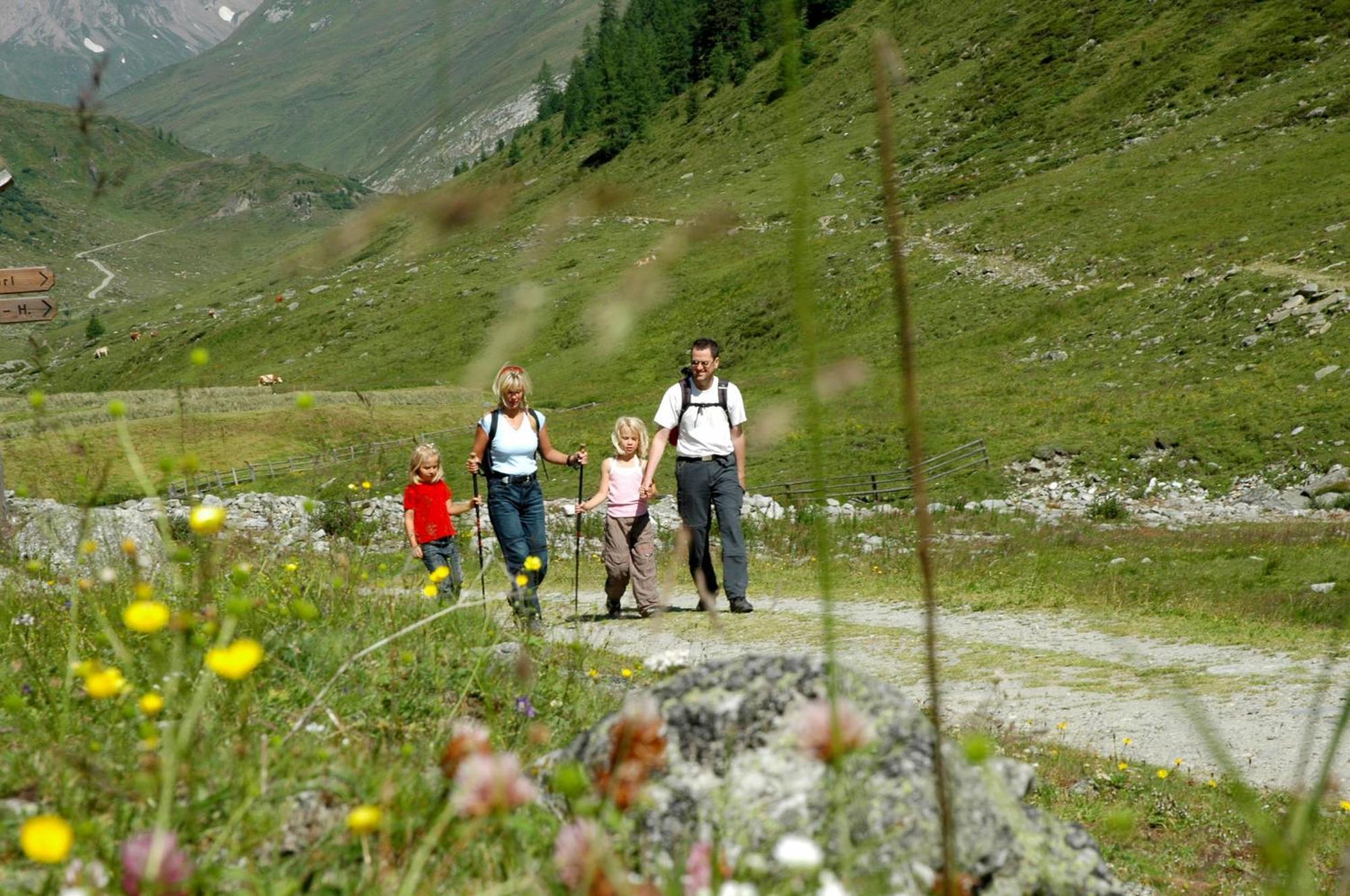 Alpengasthof Pichler Sankt Veit in Defereggen المظهر الخارجي الصورة